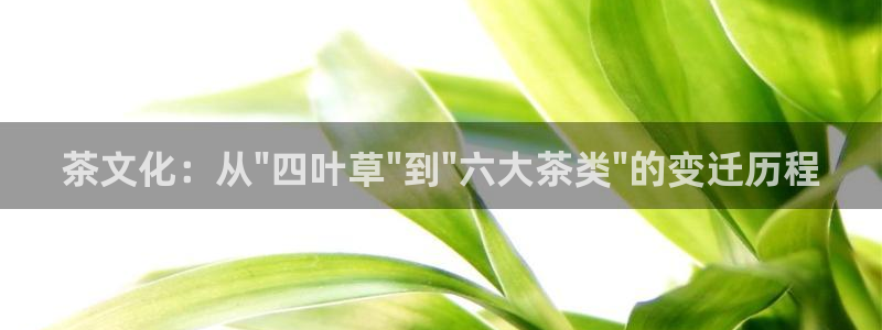 彩名堂预测软件与分析软件区别