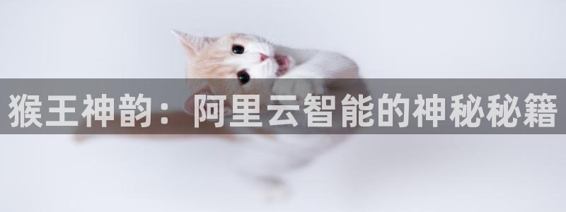 彩名堂免费计划官网5 0