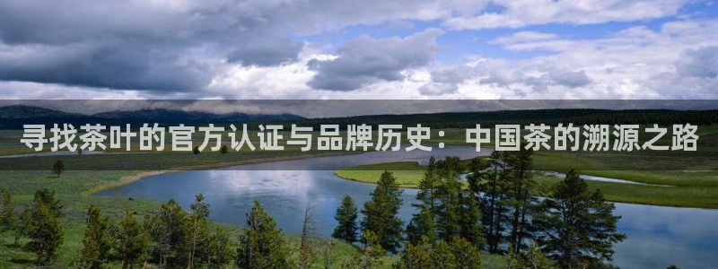 彩名堂官网网页计划