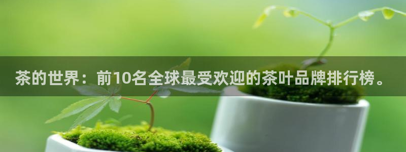 彩名堂50版本计划