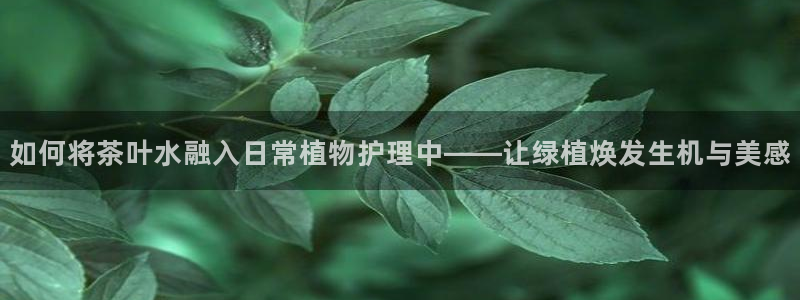 彩名堂计划官网客户端