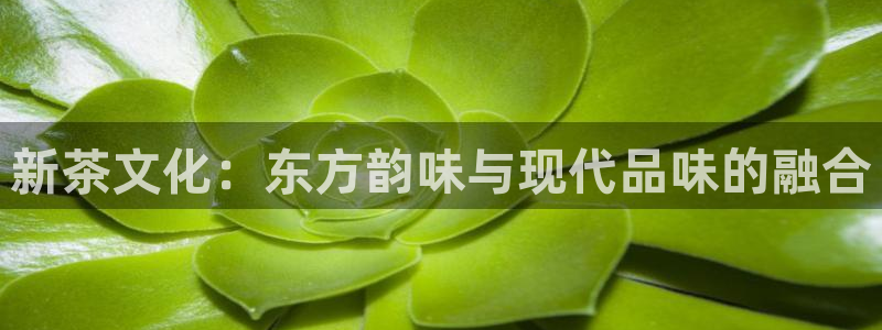 彩名堂怎么用不输
