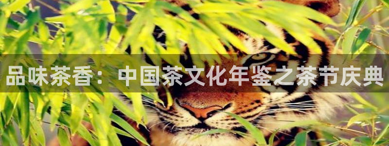 彩名堂官网2