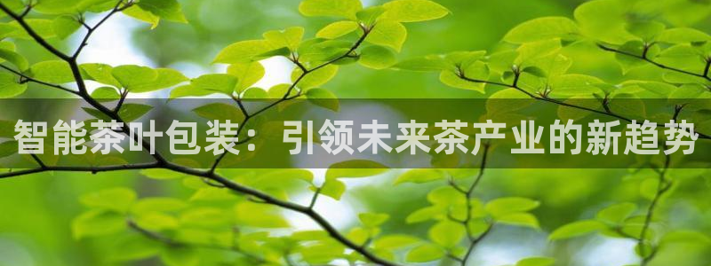 彩名堂怎么打不开了