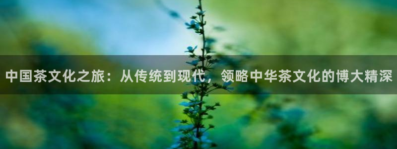 彩名堂计划app新版