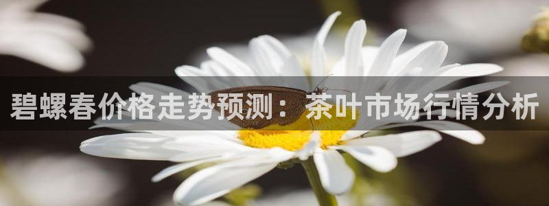 彩名堂是不是坑人的
