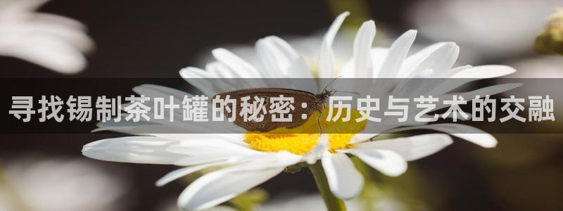 下载彩名堂预测计划软件