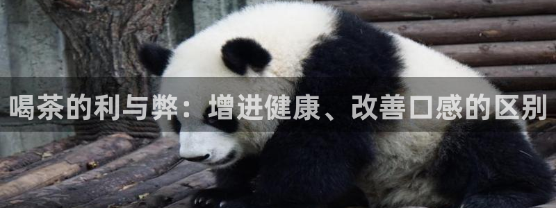 彩名堂计划怎么打不开了