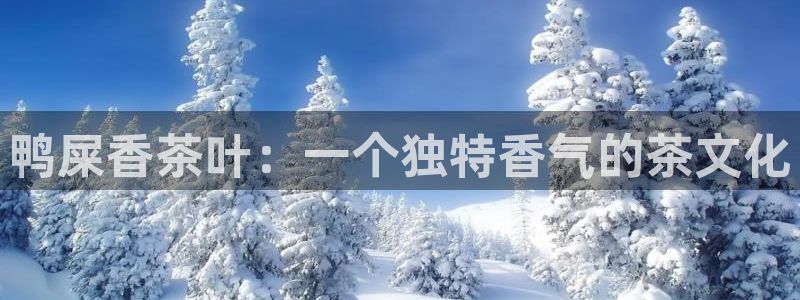 彩名堂为啥又不能用了