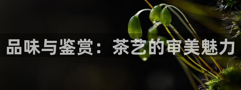 彩名堂使用方法和用量