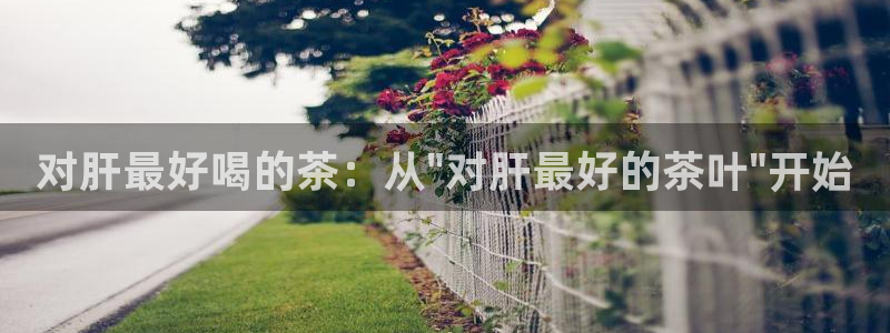 彩名堂平台
