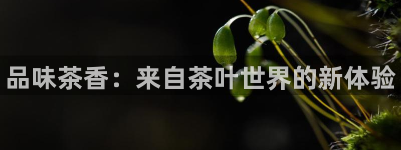 彩名堂改名稻草人了吗知乎