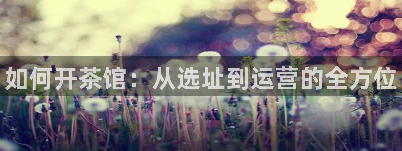 彩名堂全天计划