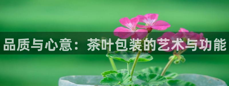 彩名堂怎么跟计划才不连挂在一起