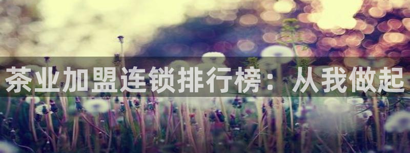 下载苹果手机版彩名堂