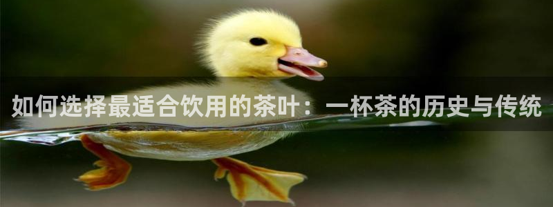 彩名堂免费计划软件下载