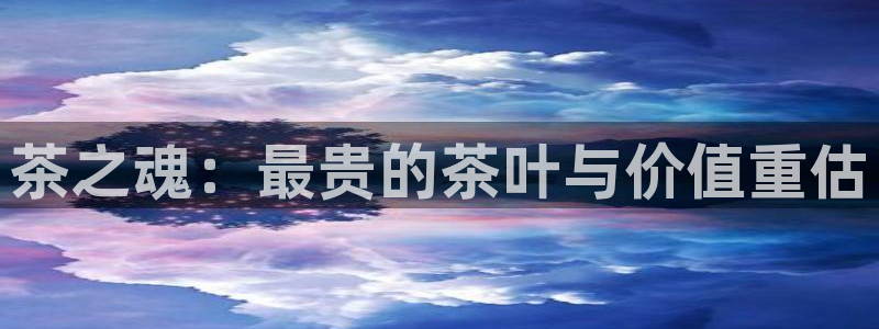 彩名堂免费计划下载