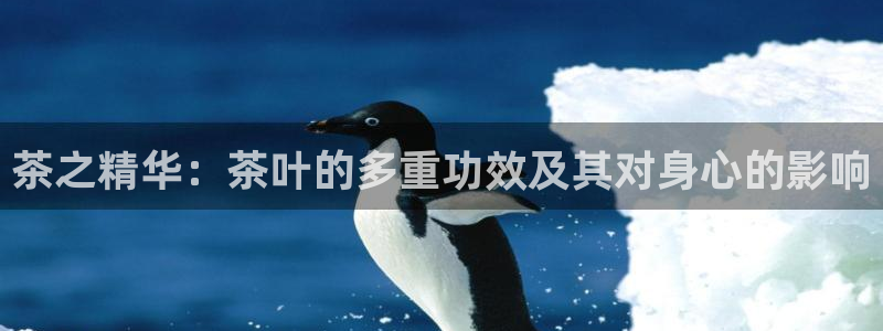 彩名堂官方下载地址