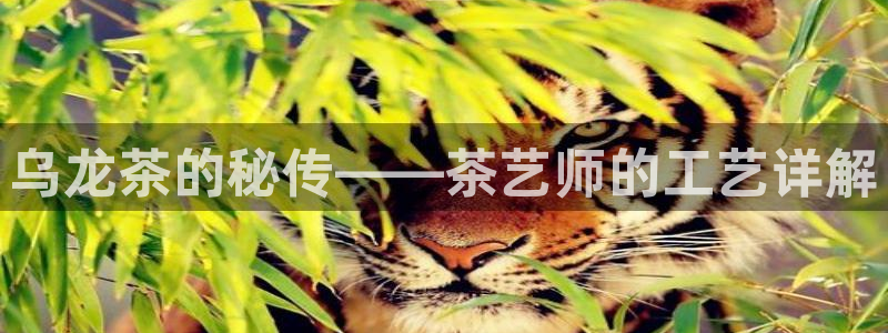 彩名堂app官方网