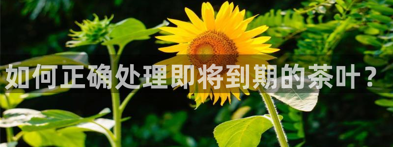 彩名堂5.0计划永久免费版为什么下不了