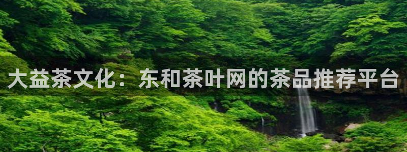 彩名堂免费计划下载