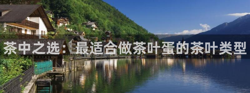 彩名堂全天计划