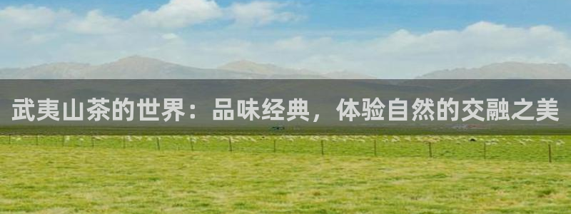 彩名堂客服电话号码