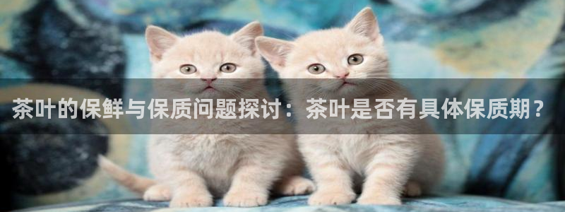彩名堂预测软件