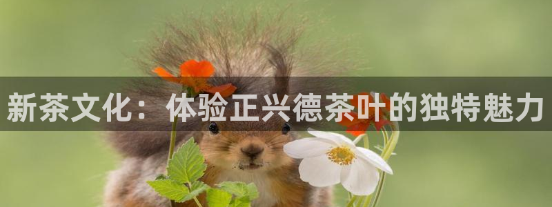 彩名堂怎么用不输