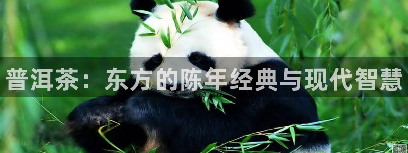 彩名堂计划软件下载