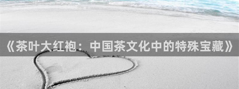 彩名堂01计划