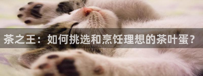 下载苹果手机版彩名堂