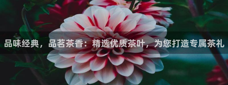 彩名堂最新版www