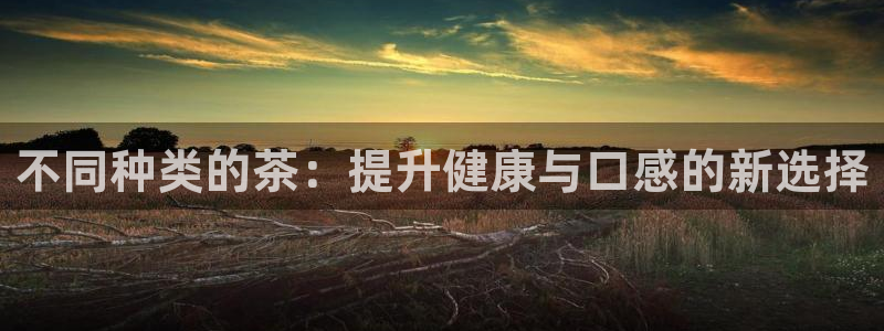 彩名堂还可以用吗