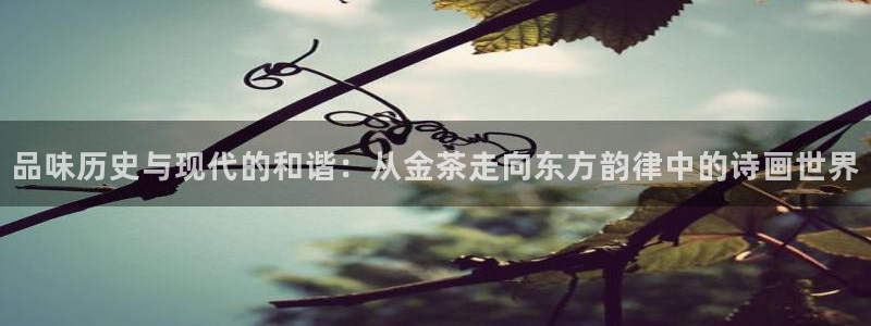 彩名堂怎么用不了了
