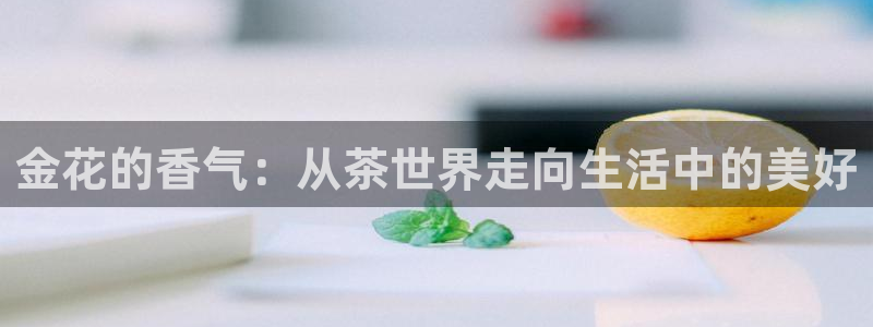 彩名堂官方平台