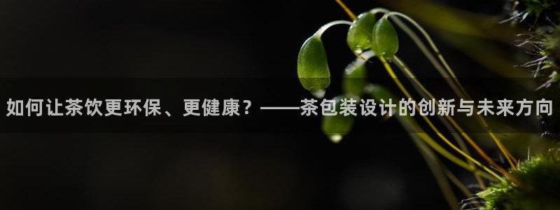 彩名堂是正规的公司吗