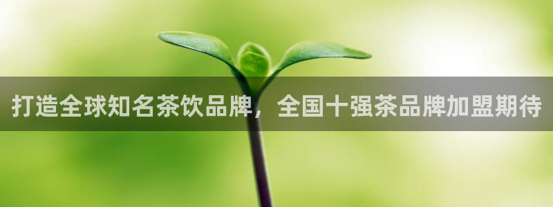 彩名堂旧版本