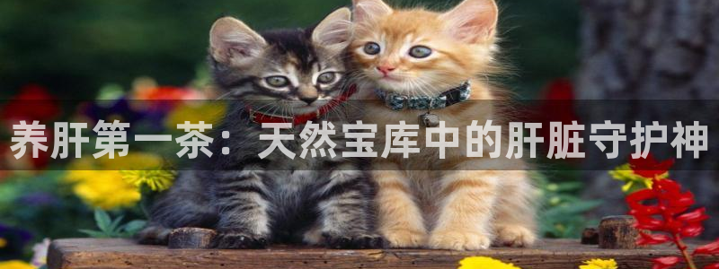 彩名堂4.3
