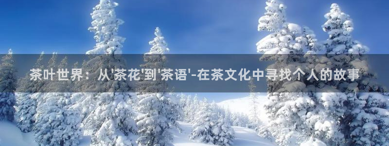 彩名堂计划官网客户端