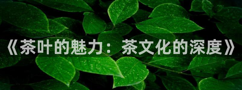 最新彩名堂计划