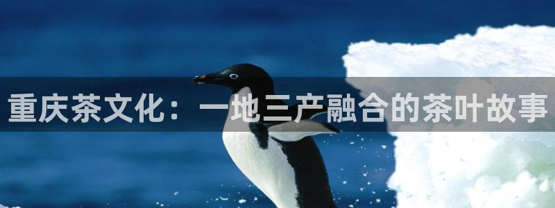 彩名堂拼音怎么拼