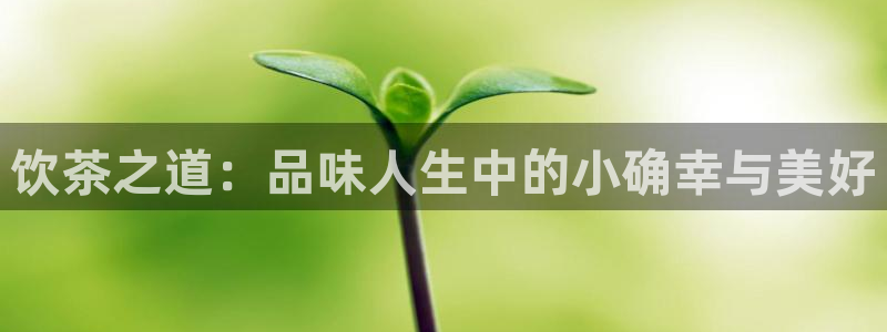 彩名堂旧版本