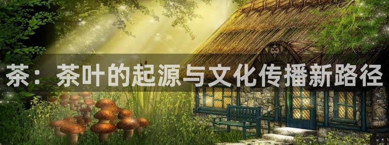 彩名堂还能用吗