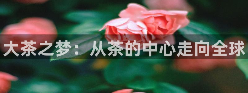 彩名堂人工计划客户端