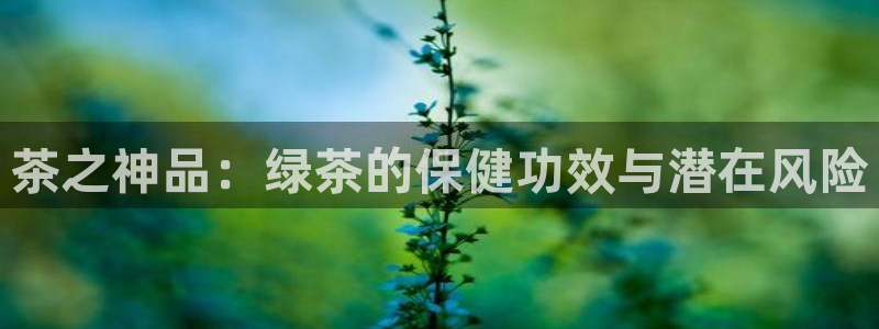彩名堂全天计划
