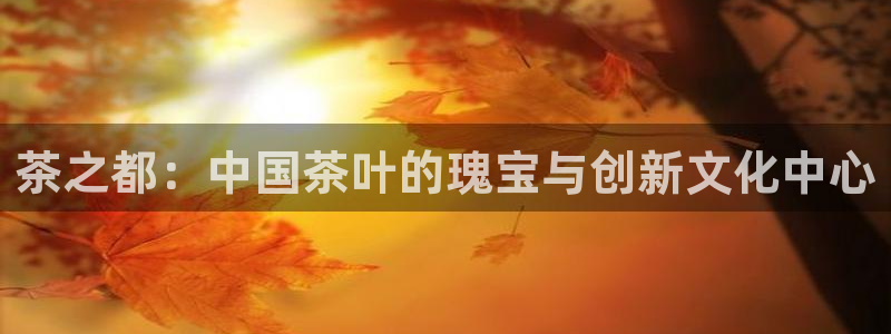 彩名堂手机客户端怎么进不去了