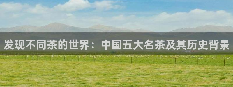 彩名堂01计划
