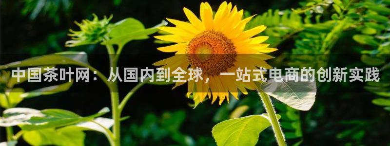 彩名堂一直不出结果怎么回事呢