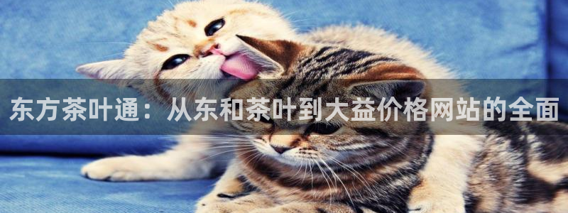 彩名堂的拼音